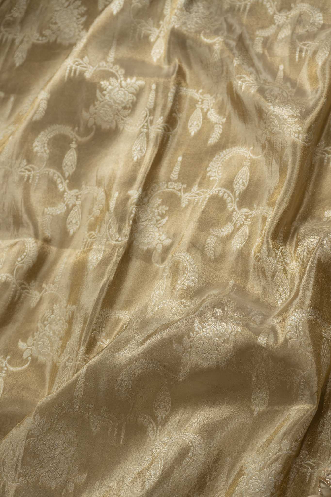 Tissue Silk Banarasi Paisley Saree
